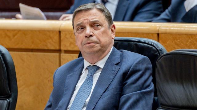 El ministro de Agricultura, Pesca y Alimentación, Luis Planas.