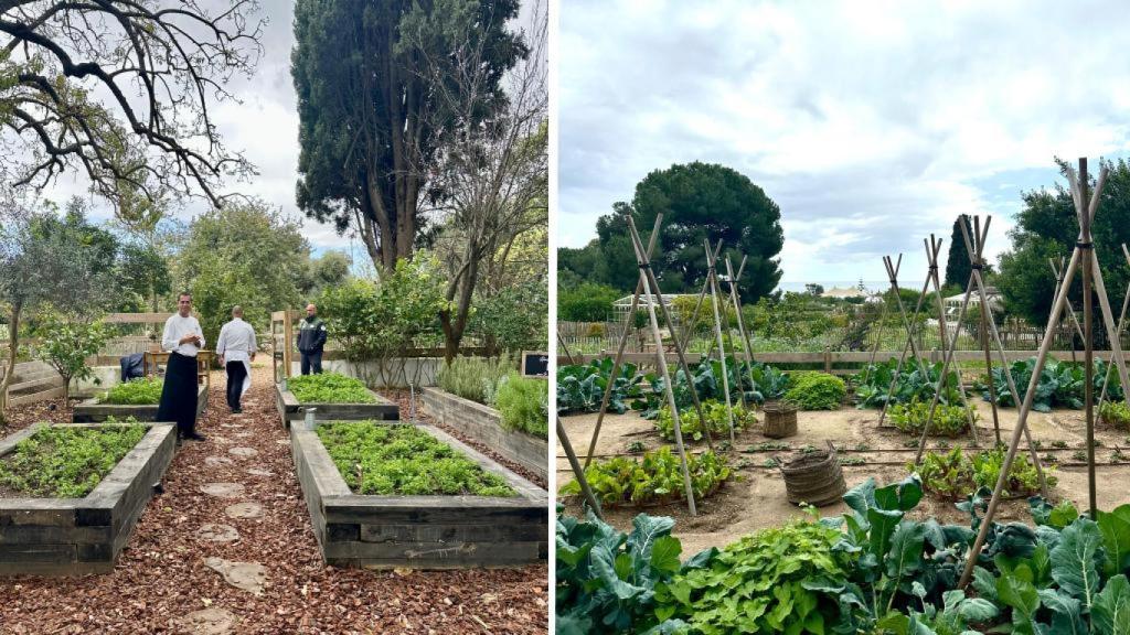 El huerto de la Finca Ana María.
