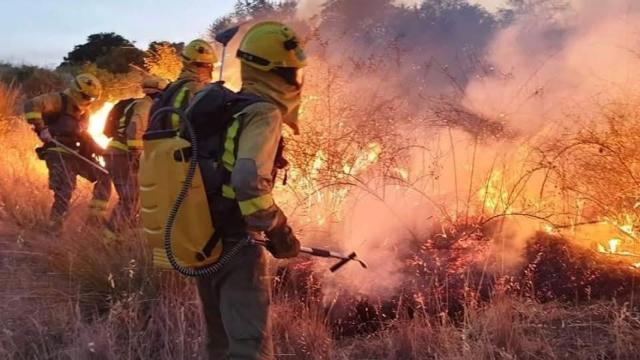Bomberos forestales de Madrid llevan a cabo una actuación contra un incendio.