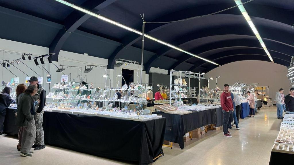 Minervigo regresa a Vigo con más de 15.000 piezas y una cabeza de T-Rex de casi dos metros