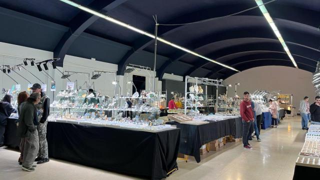 Minervigo regresa a Vigo con más de 15.000 piezas y una cabeza de T-Rex de casi dos metros