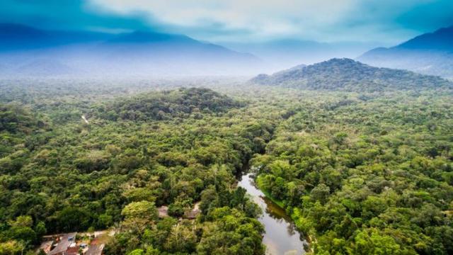 Vista aérea de la Amazonía, América del sur.