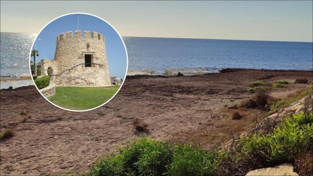 La cala de Cabo Cervera, junto a la Torre del Moro.