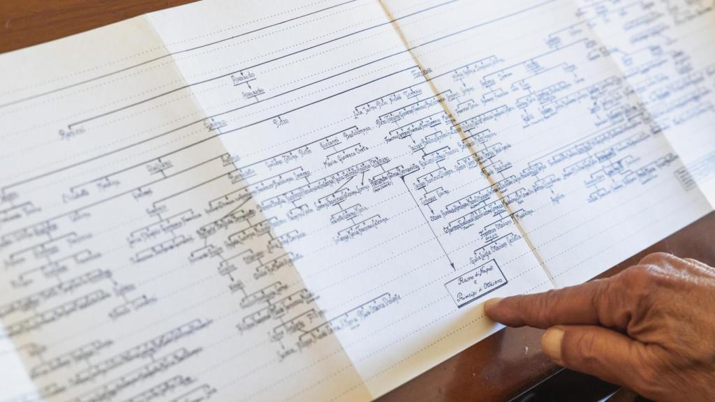 Detalle del árbol genealógico de los Médici.