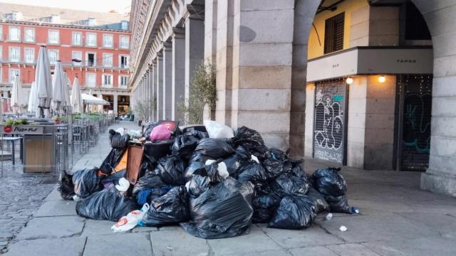 Acumulación de basura en la Plaza Mayor.