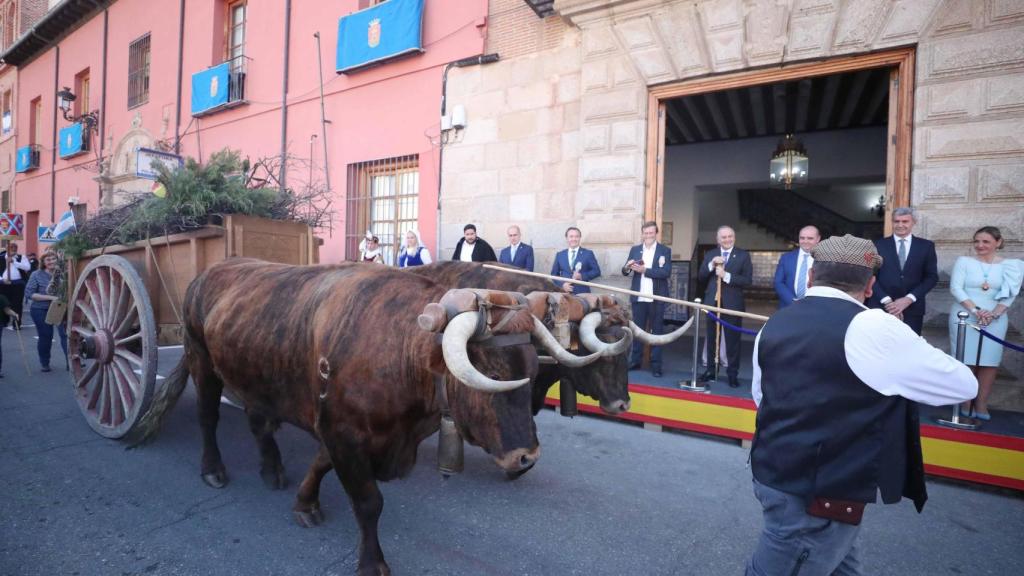 Gran Cortejo de Mondas de Talavera de la Reina. Foto: Ayuntamiento.