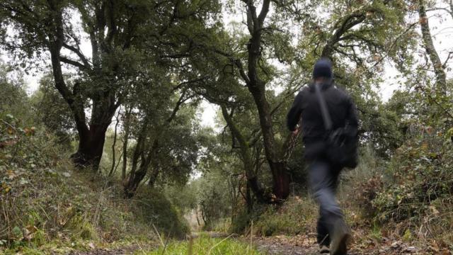 Un espacio natural de Castilla y León