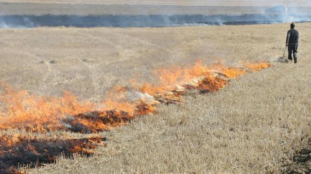Quema de rastrojos