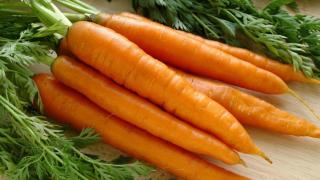 Captura de pantalla 2025-04-28 221855