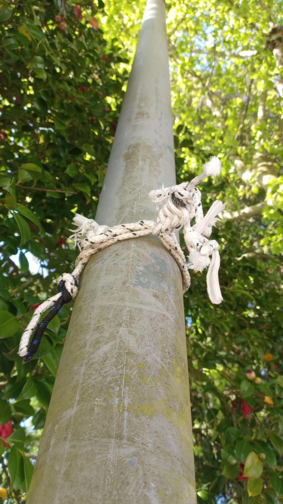 Roban la pancarta en apoyo a Palestina de la Alameda.