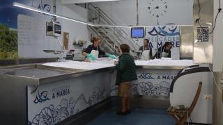 Pescadería en Vigo tras el apagón