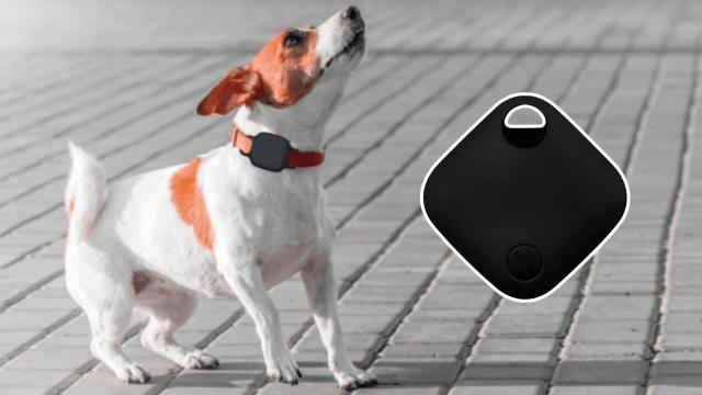 Etiqueta de localización