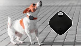 Etiqueta de localización