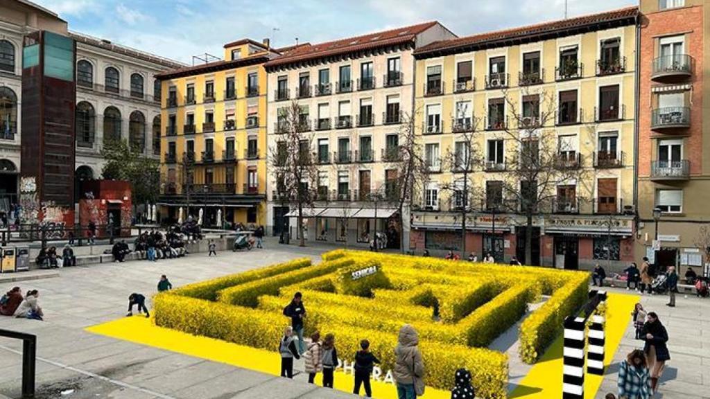 Laberinto de flores amarillas de Sephora.