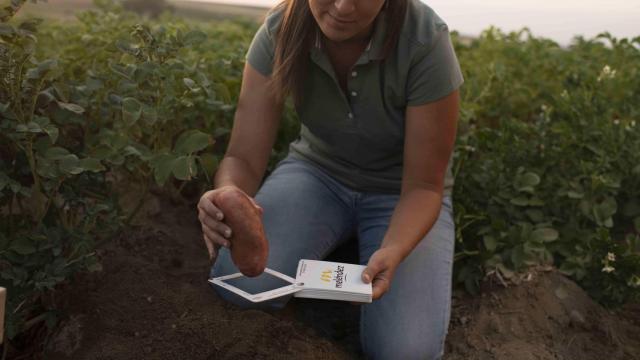 Patatas Meléndez de Valladolid en Alcampo