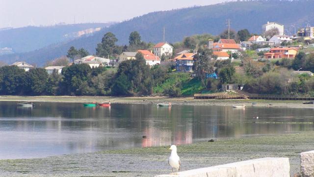 Fene, en Ferrol (A Coruña)