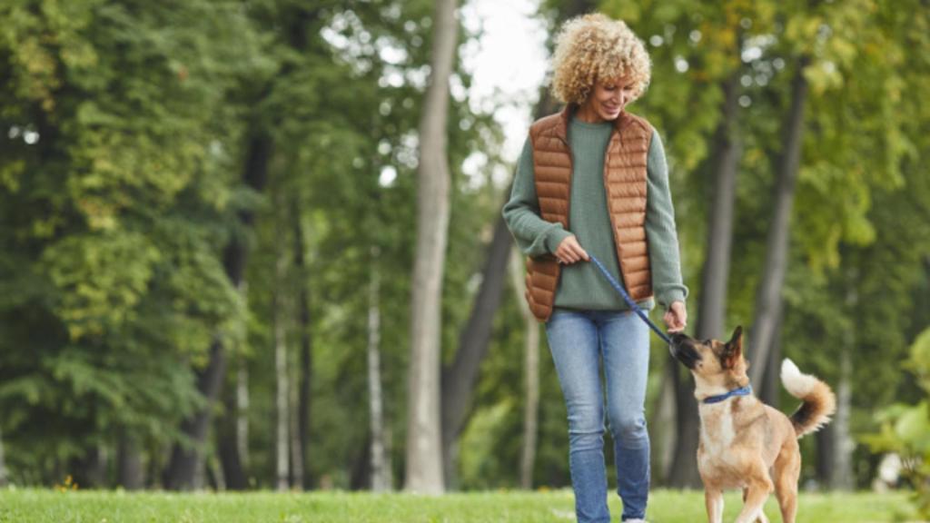 PATA PATA 2025 abre la venta de entradas para su evento en A Coruña.