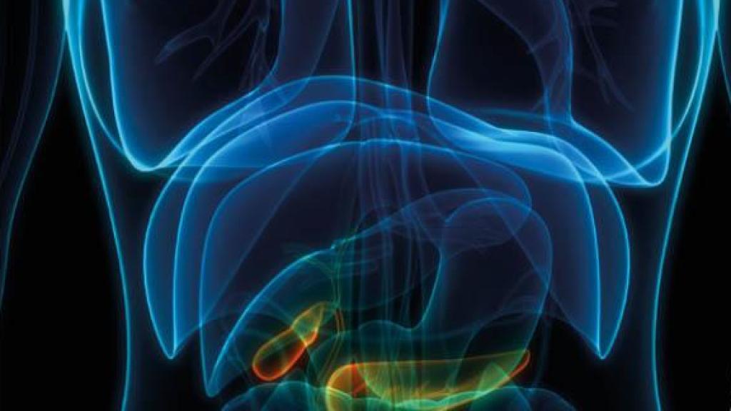 Detalle de la jornada de Quirónsalud Torrevieja sobre cáncer de pácreas.