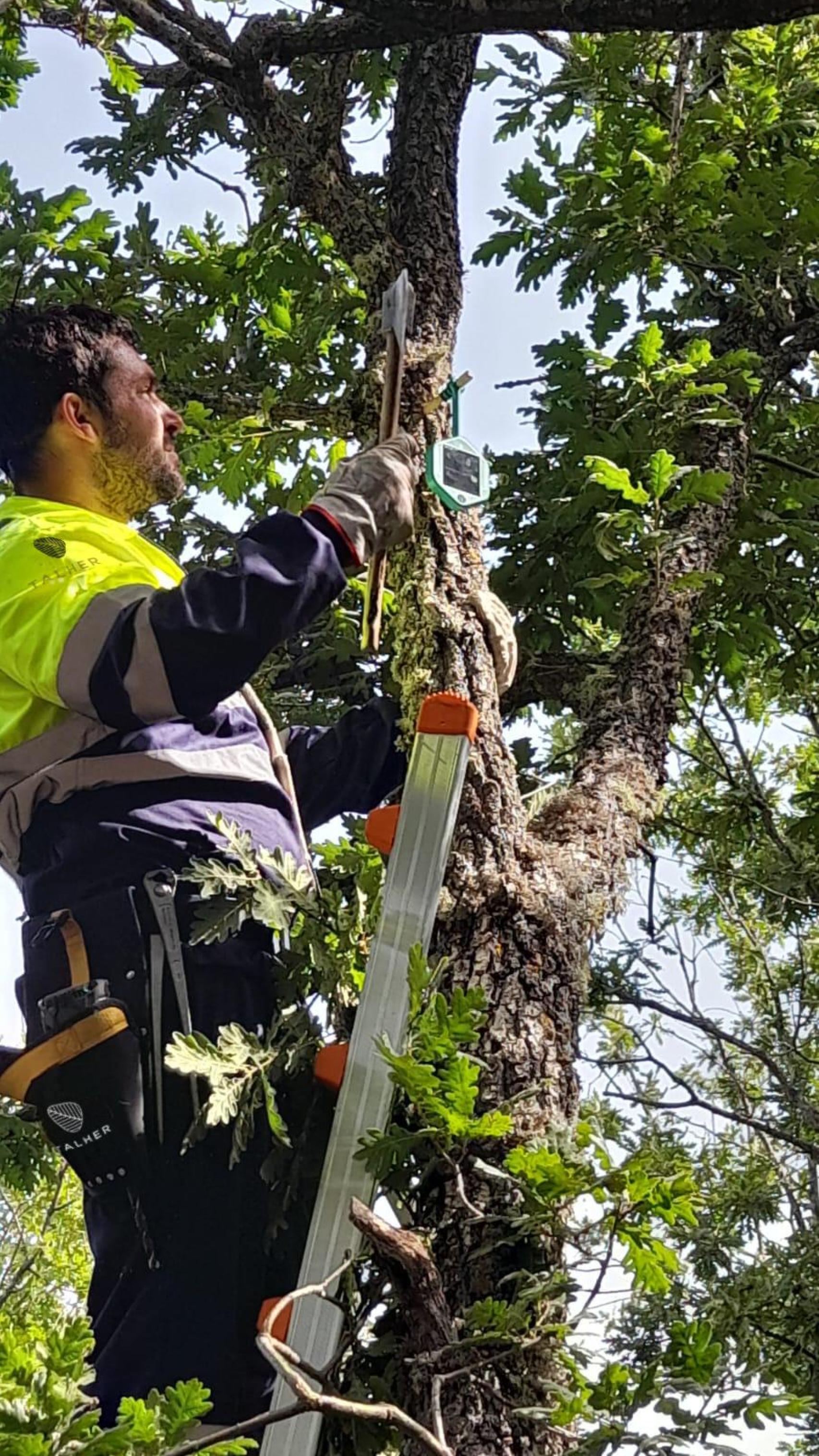 Un operario de Talher instala uno de los sensores.