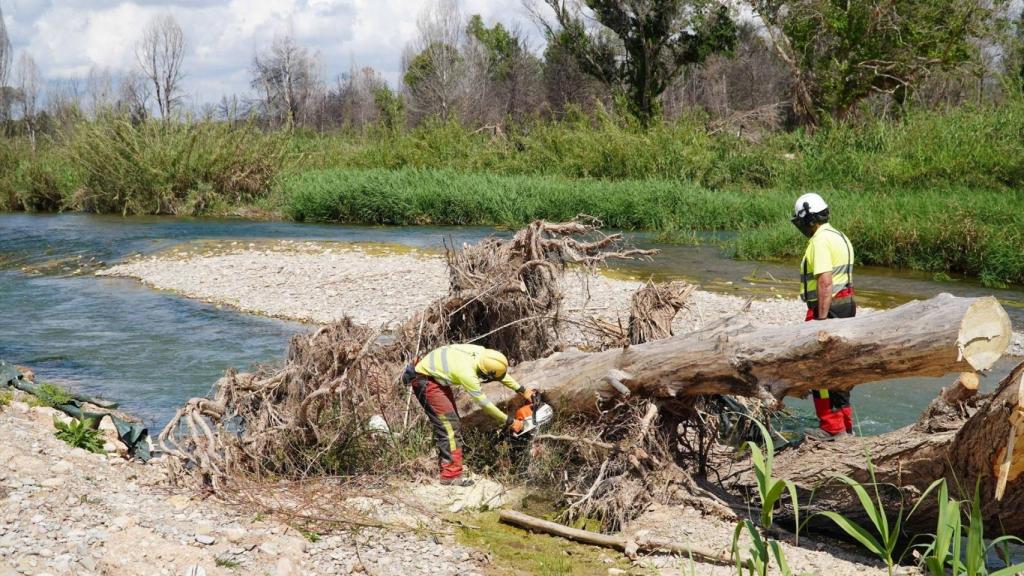 Trabajos en el río Turia. CHJ