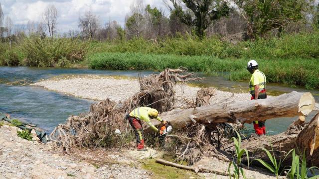 Trabajos en el río Turia. CHJ