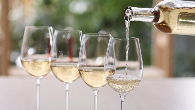 Cuatro copas de vino blanco.