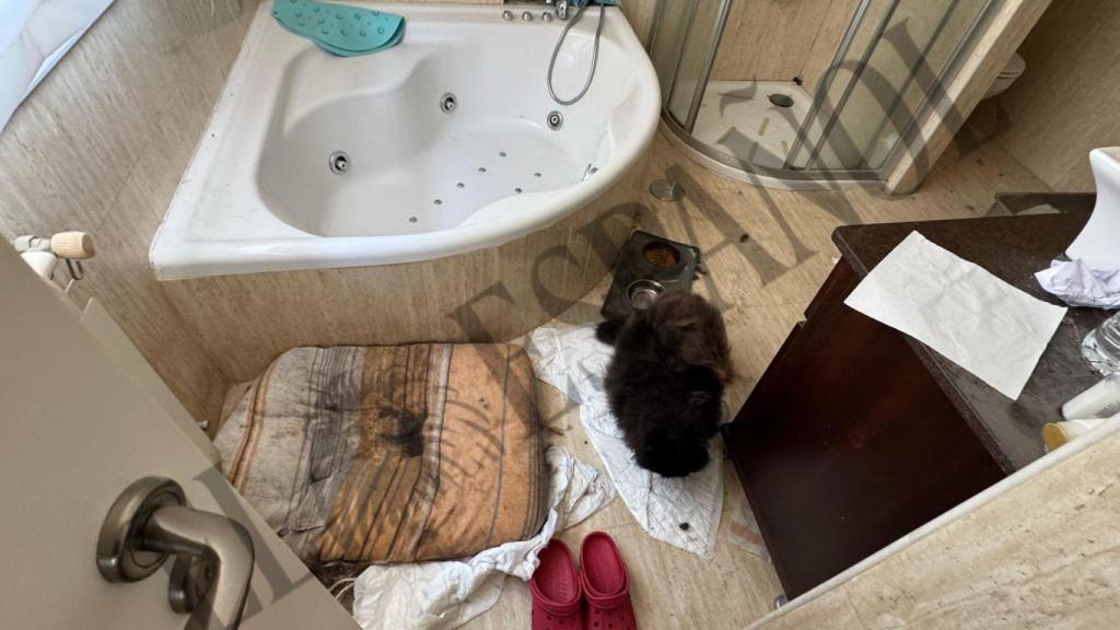 Imagen de uno de los baños del interior del chalet, junto a la habitación de los gemelos.