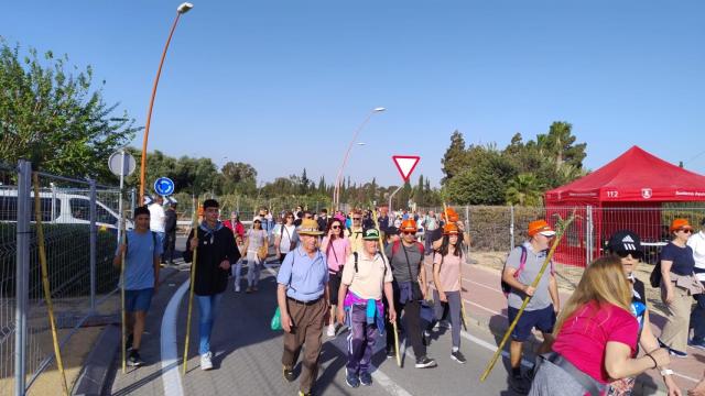 Así celebra Alicante la Santa Faz 2025