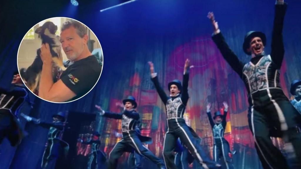 Antonio Banderas y su mascota.