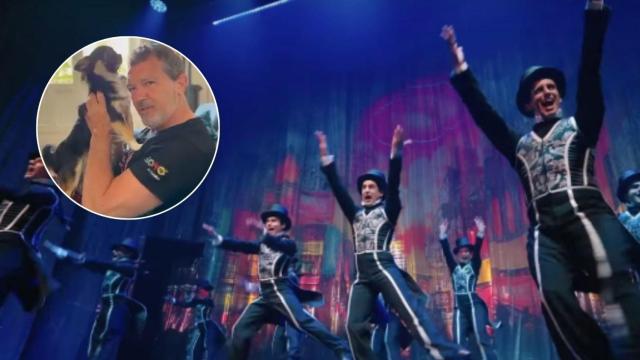 Antonio Banderas y su mascota.