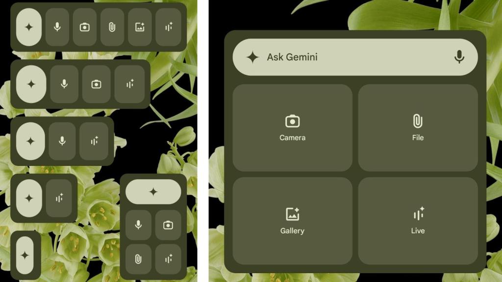 Diferentes opciones del widget de Gemini