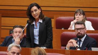 La procuradora en las Cortes de Castilla y León, Alicia Gallego