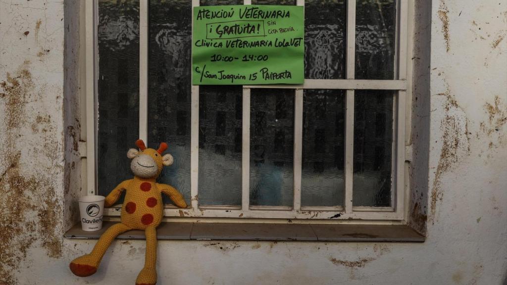 Un cartel ofrece ayuda veterinaria en la zona cero de la dana tras la riada. Rober Solsona / Europa Press