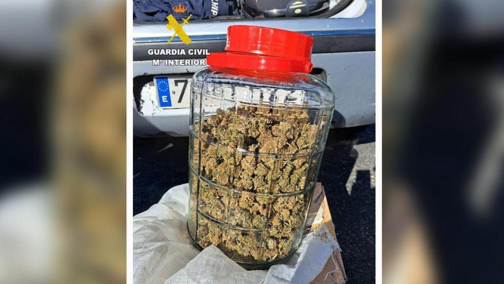 Imagen del tarro con los cogollos de marihuana