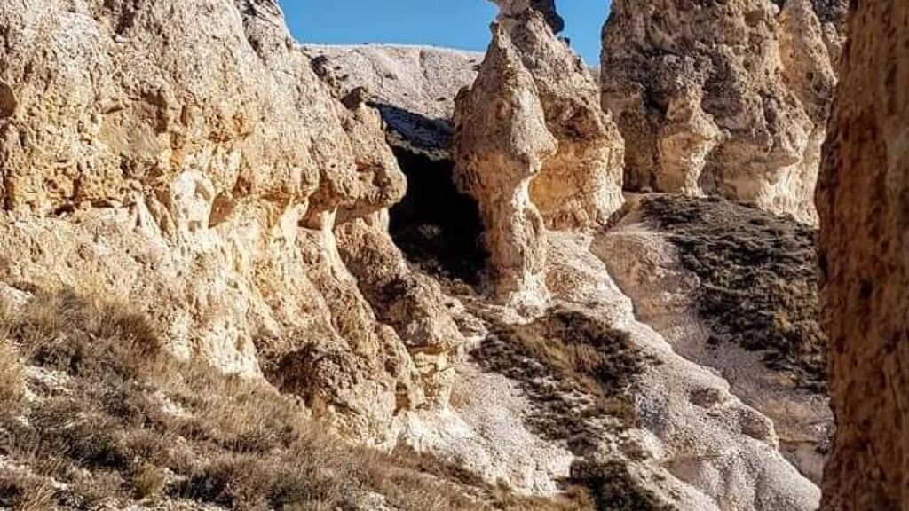 Imagen de Aguaviva de la Vega