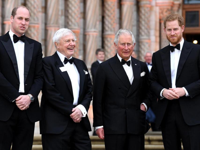 Carlos de Inglaterra, el príncipe harry, Guillermo y David Attenborough.