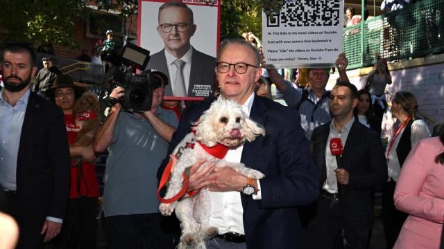 El líder del Partido Laborista, Anthony Albanese, después de votar para las elecciones federales de Australia.