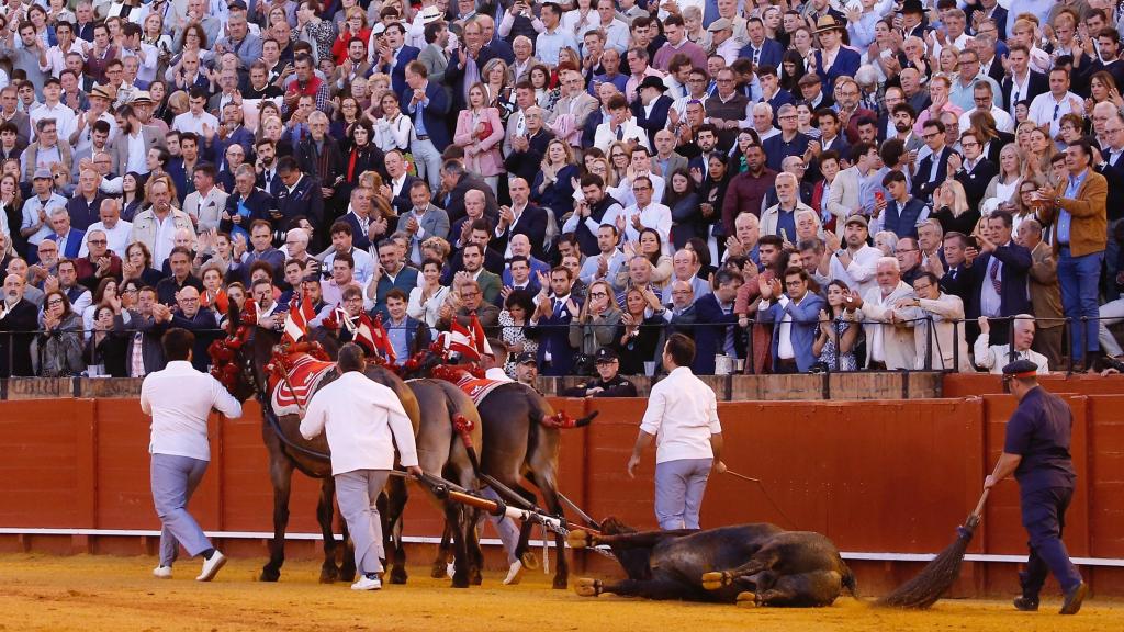 El toro 'Mosquetón' de Victorino durante la vuelta al ruedo en Sevilla.