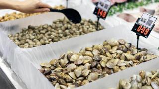 Captura de pantalla 2025-05-03 235507