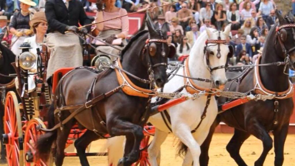 La Exhibición de Engaches de Sevilla.