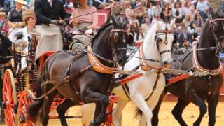 La Exhibición de Engaches de Sevilla.