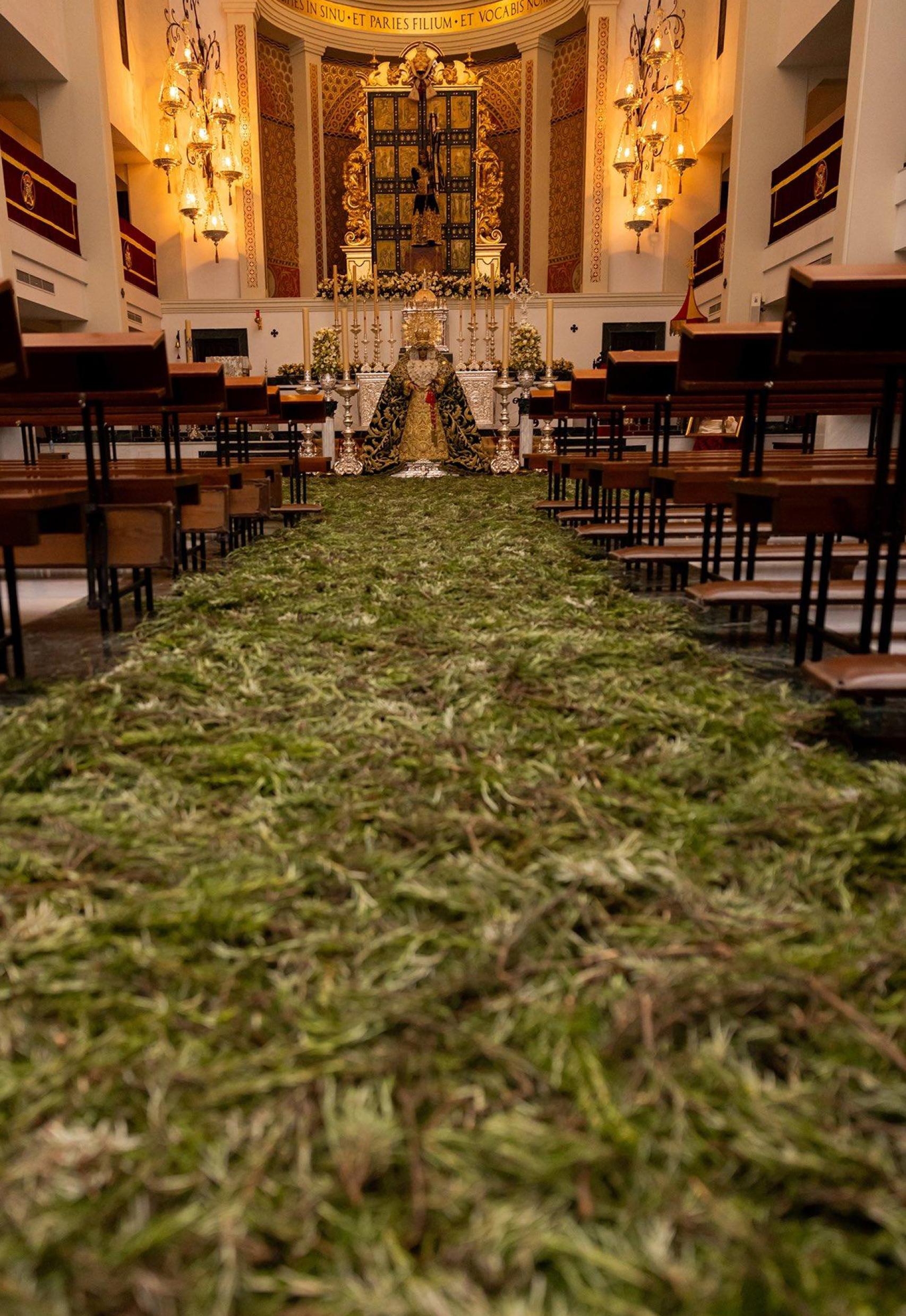 Imagen del pasillo de la basílica lleno de romero.