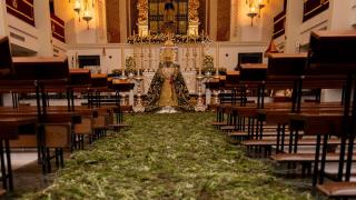 Imagen del pasillo de la basílica lleno de romero.