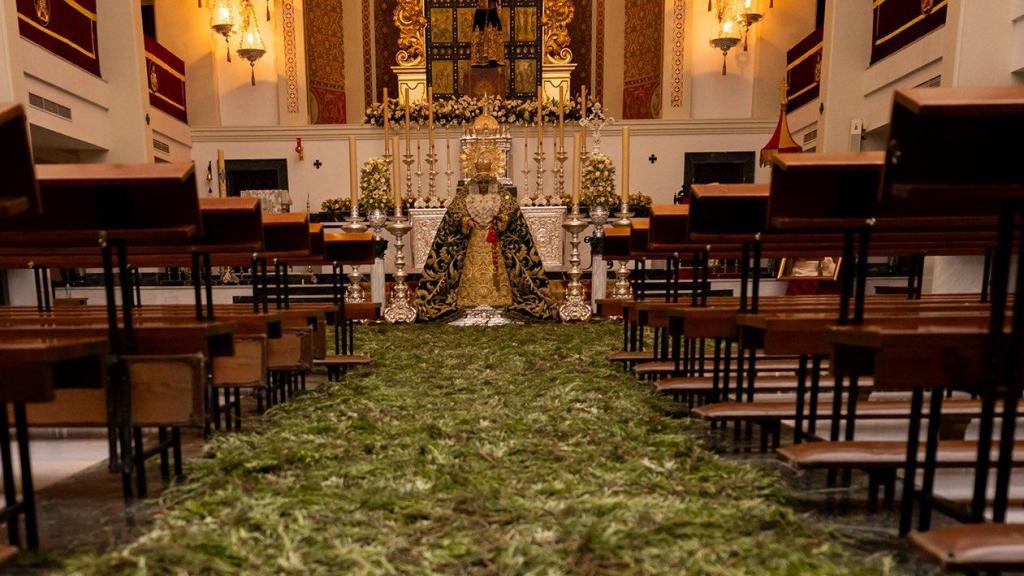 Imagen del pasillo de la basílica lleno de romero.