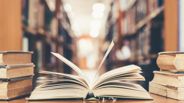 El libro no ha llegado a publicarse.
