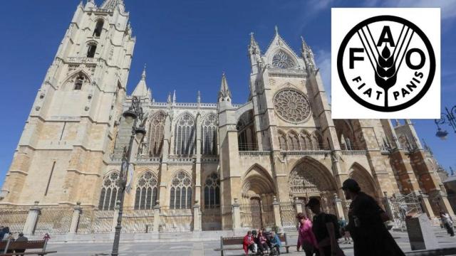 La catedral de León y el logo de la FAO en un montaje de EL ESPAÑOL