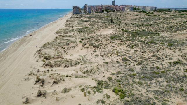 Playa de Elche, El Altet.