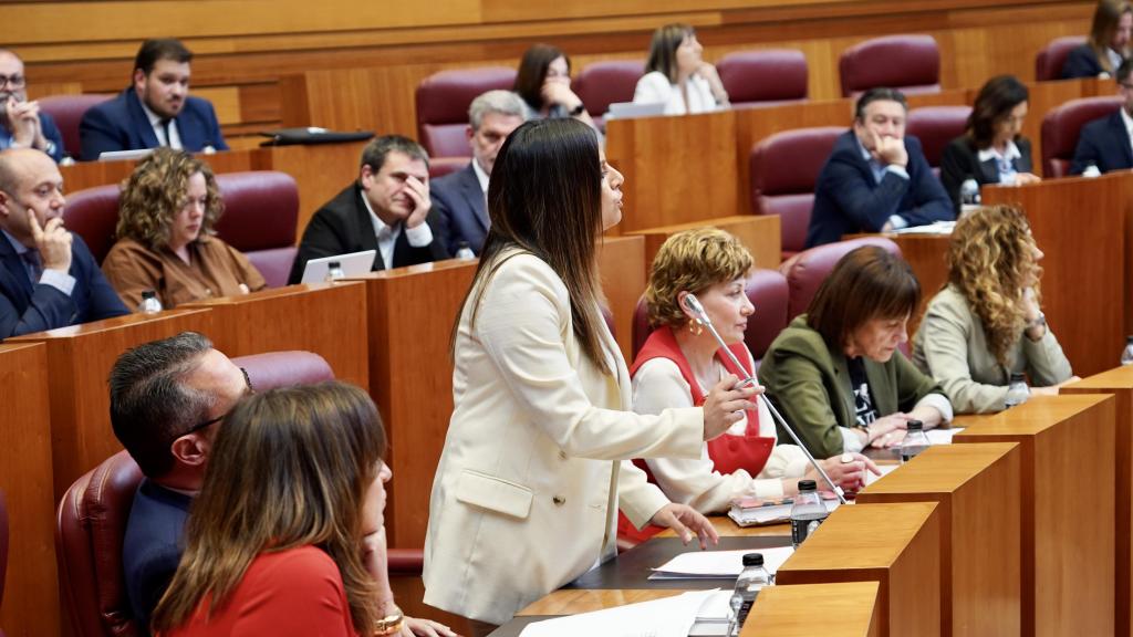 La viceportavoz del Grupo Socialista, Nuria Rubio, durante una intervención en el último pleno de las Cortes de Castilla y León