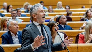 El ministro del Interior, Fernando Grande-Marlaska, este martes en el Senado.