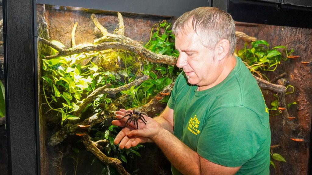 El herpetólogo David Martí con una tarántula.